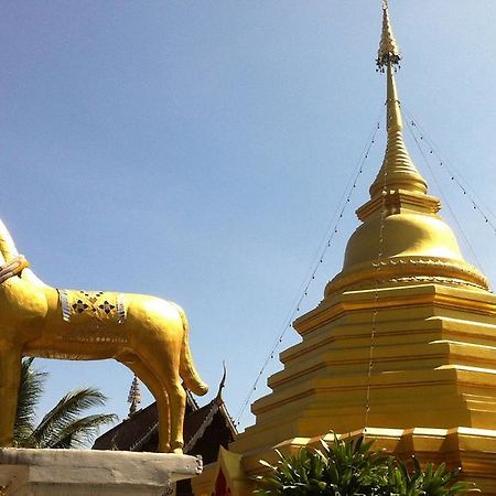 Green Tiger House Hotel Chiang Mai Exterior photo